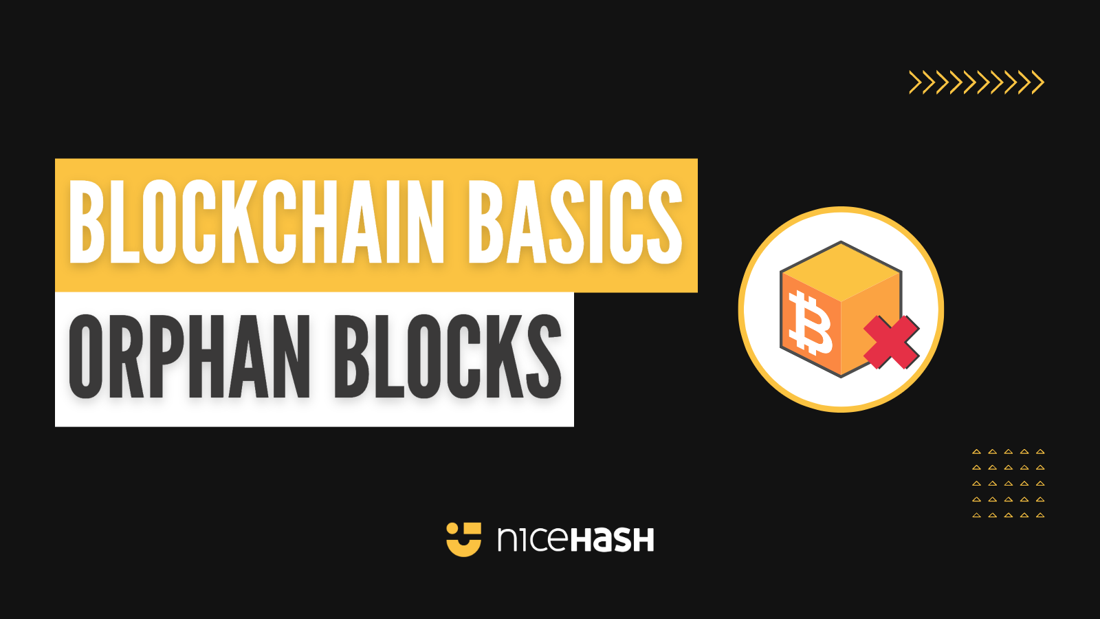 What Are Orphan Blocks and Stale Blocks? An Overview